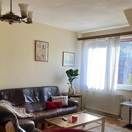 Rose'S Oldtown Apartment Брашов Экстерьер фото