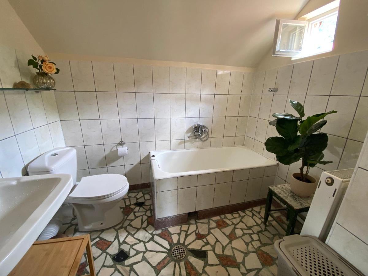 Rose'S Oldtown Apartment Брашов Экстерьер фото