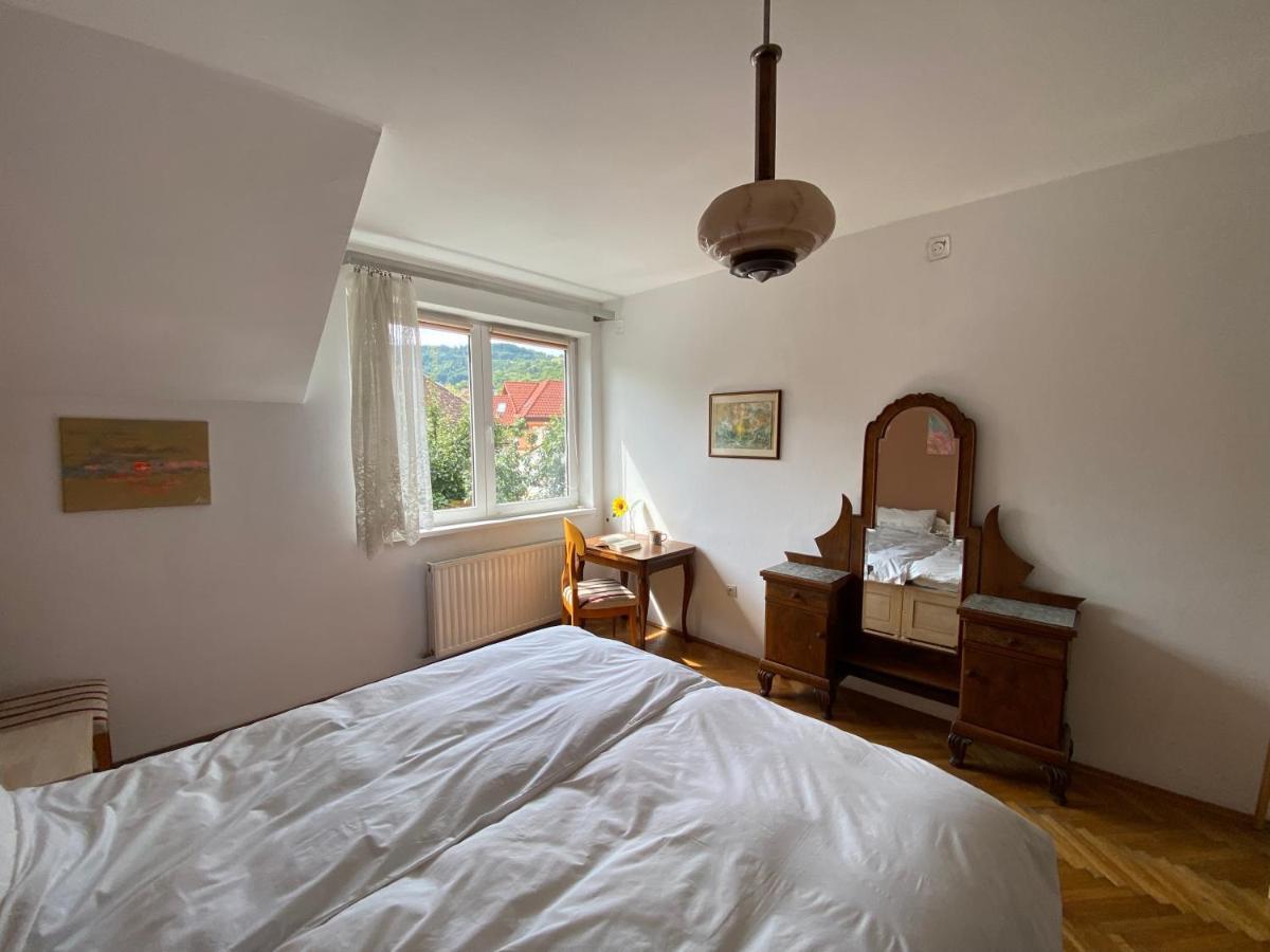 Rose'S Oldtown Apartment Брашов Экстерьер фото