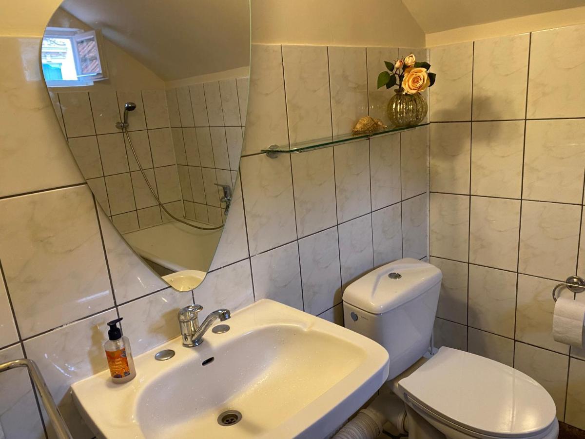 Rose'S Oldtown Apartment Брашов Экстерьер фото