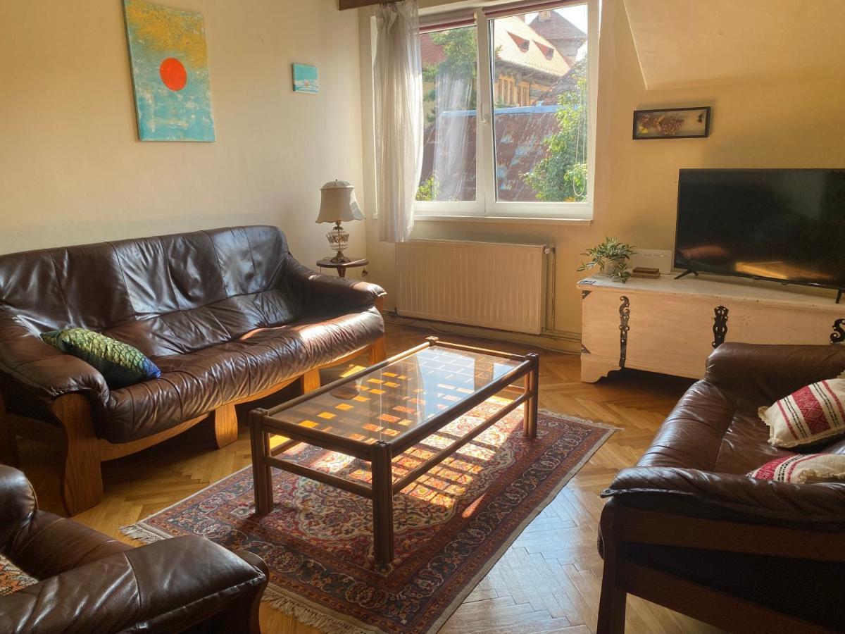 Rose'S Oldtown Apartment Брашов Экстерьер фото