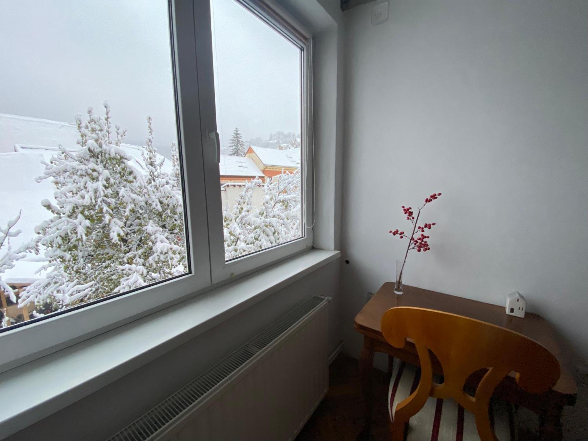 Rose'S Oldtown Apartment Брашов Экстерьер фото