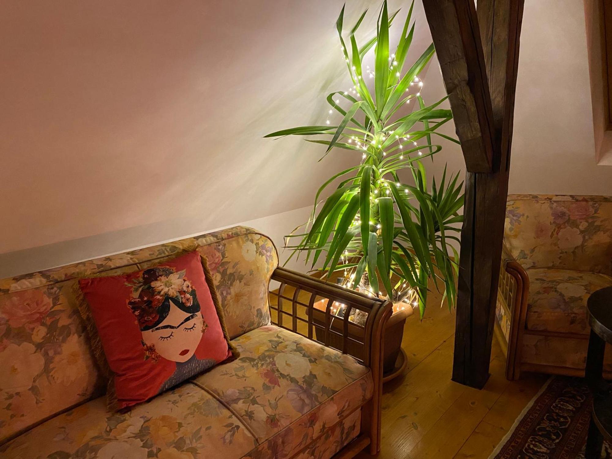 Rose'S Oldtown Apartment Брашов Экстерьер фото