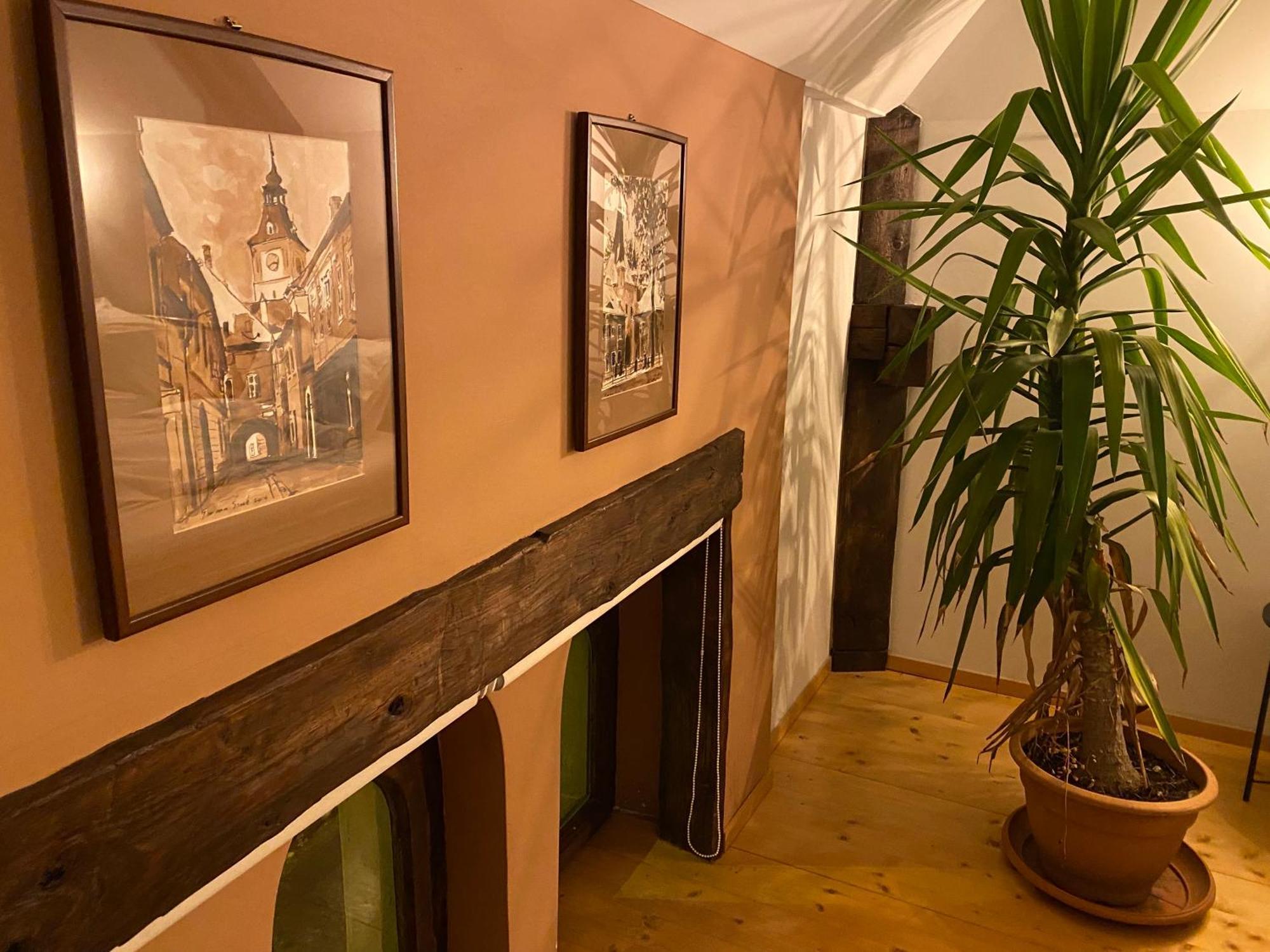 Rose'S Oldtown Apartment Брашов Экстерьер фото