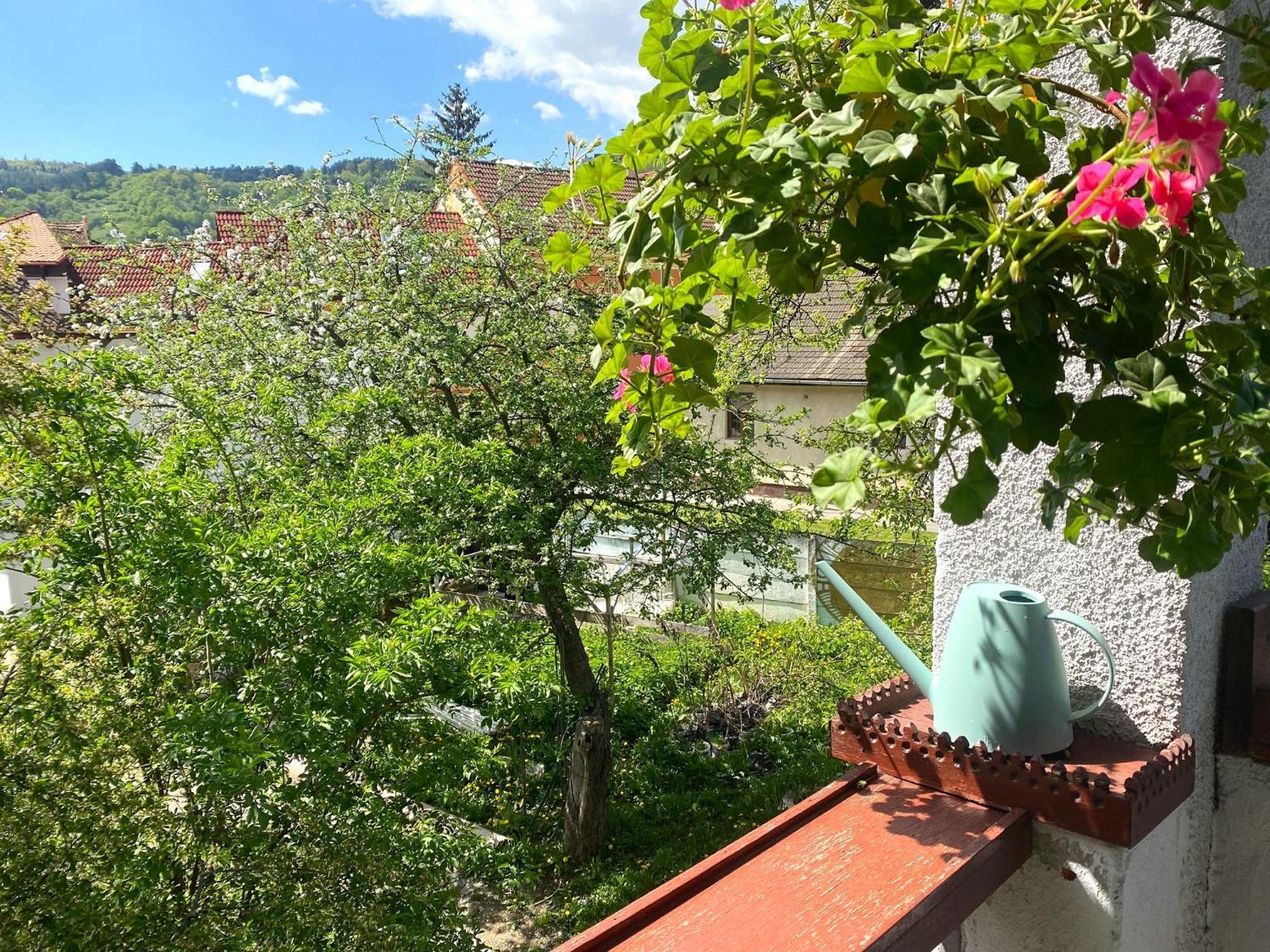Rose'S Oldtown Apartment Брашов Экстерьер фото