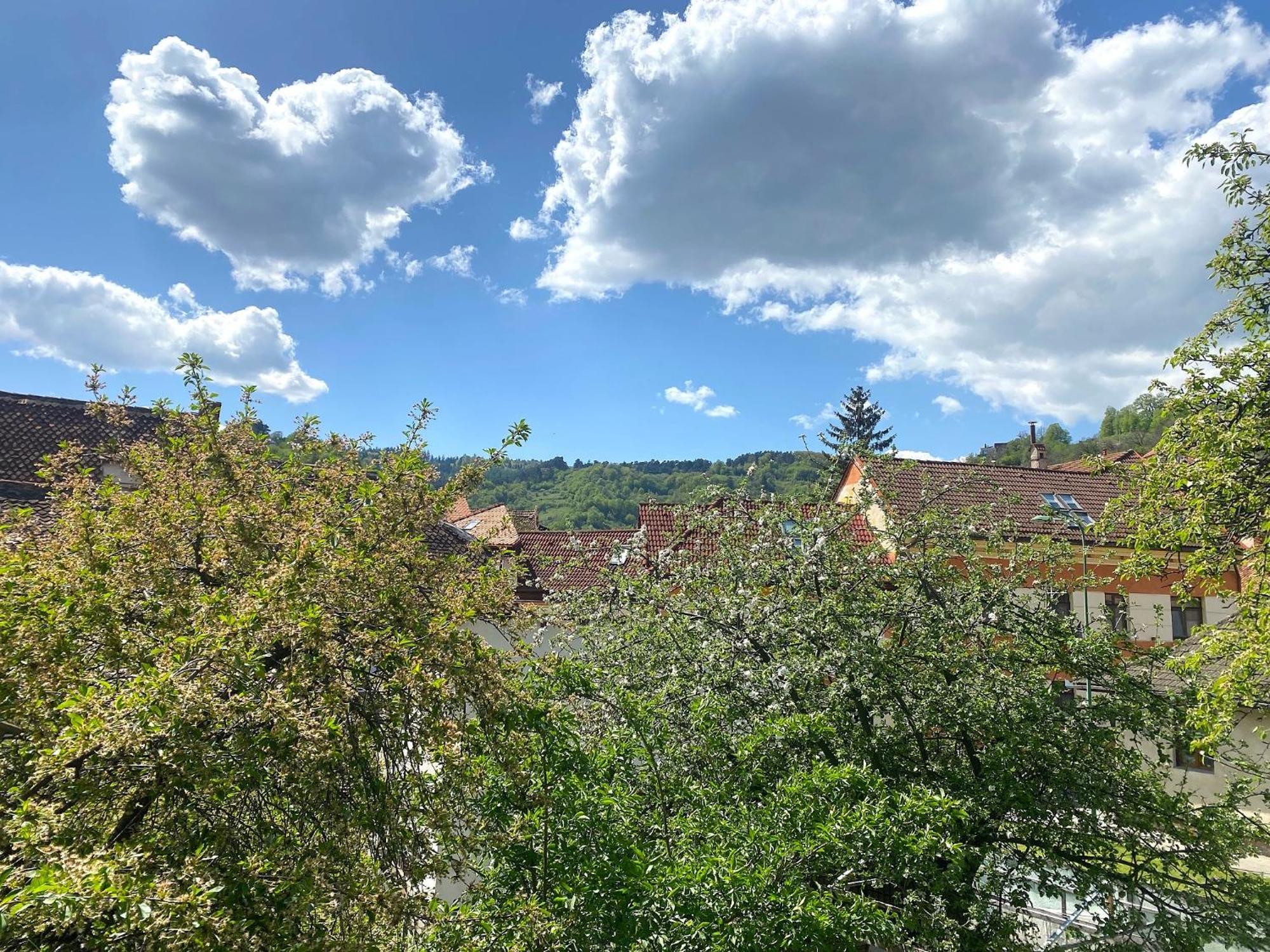 Rose'S Oldtown Apartment Брашов Экстерьер фото