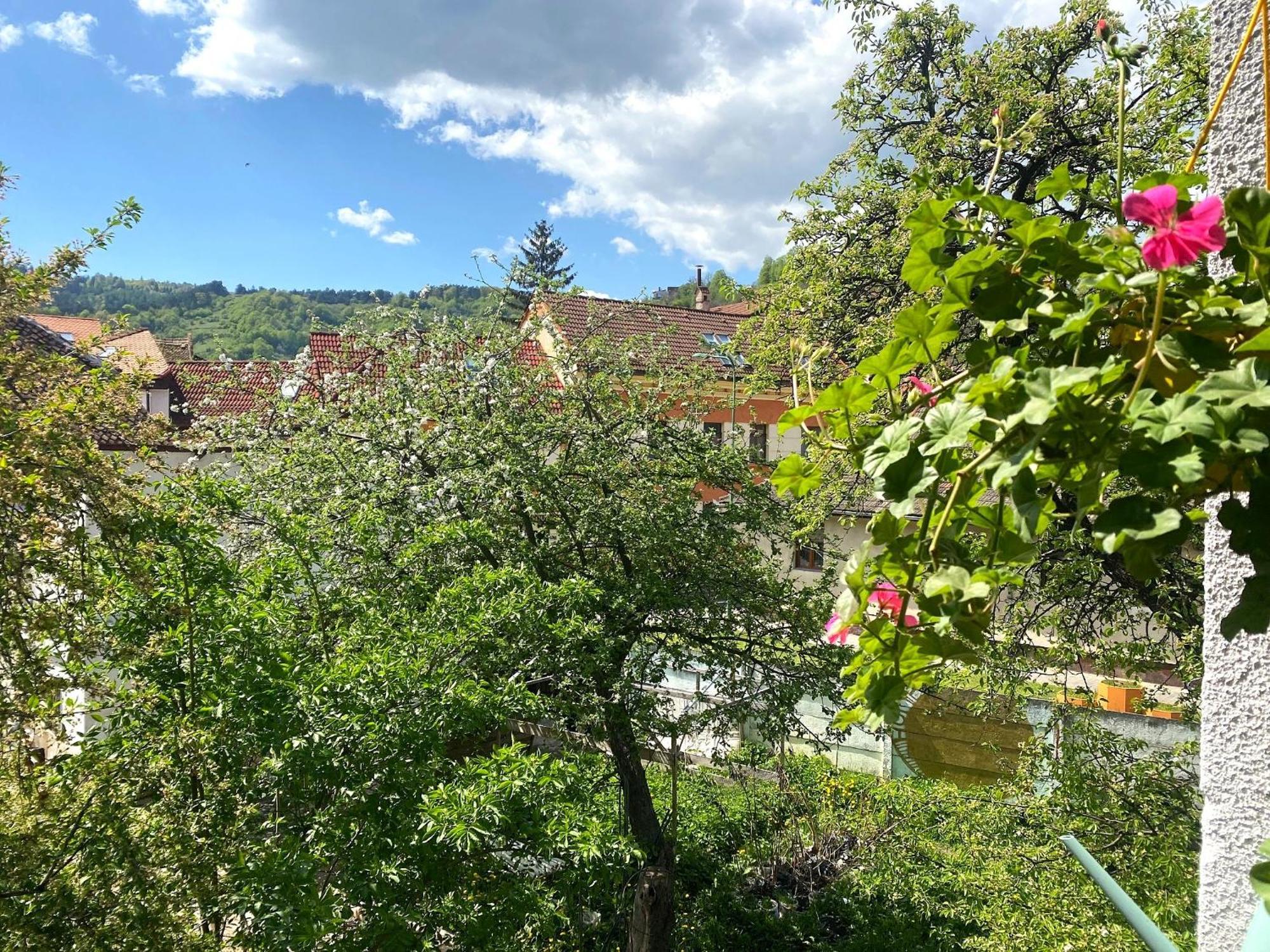 Rose'S Oldtown Apartment Брашов Экстерьер фото